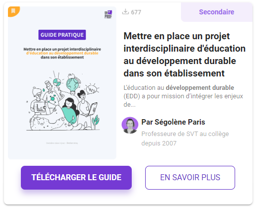Guide Pratique Etre Prof Mettre En Place Un Projet 